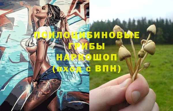 тгк Баксан